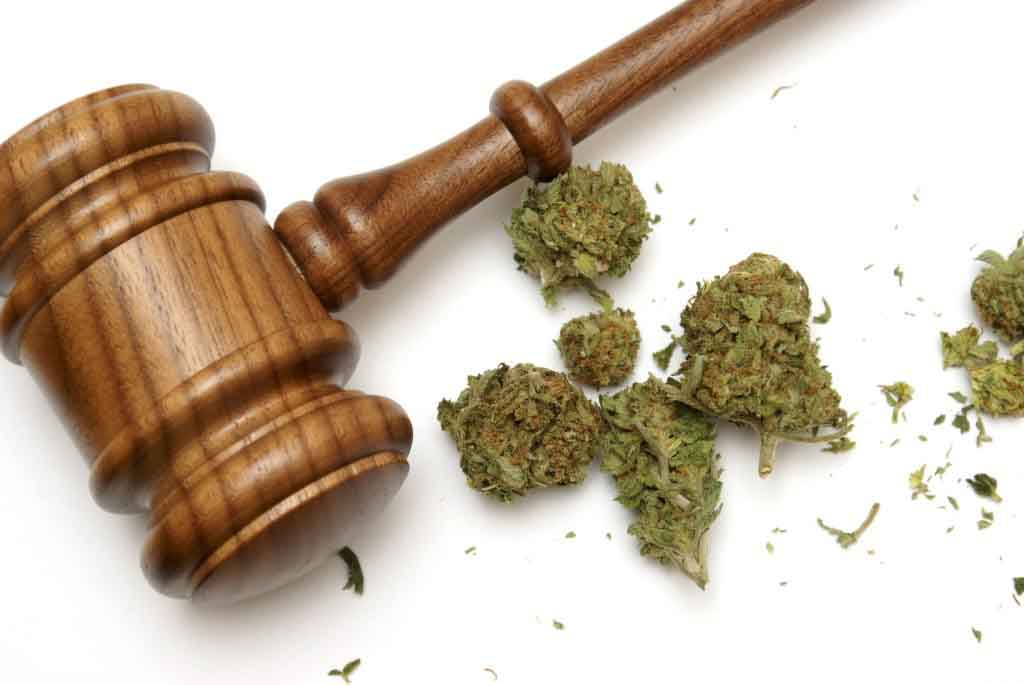 Chicago Marijuana Lawyer